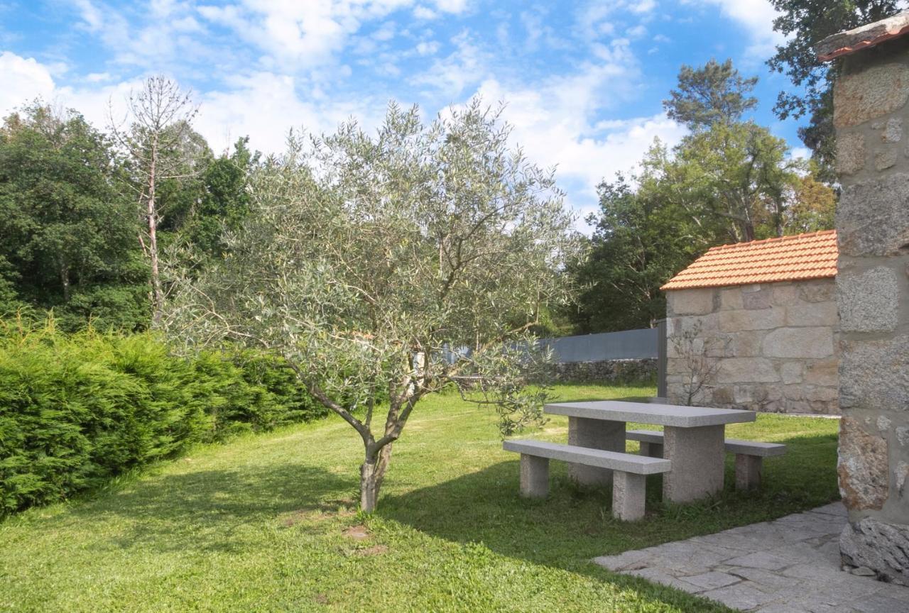 Apartament Casas D'Oliva Caramulo Zewnętrze zdjęcie